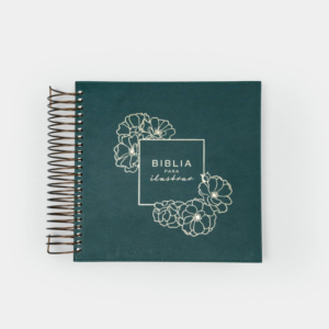 Biblia para Ilustrar