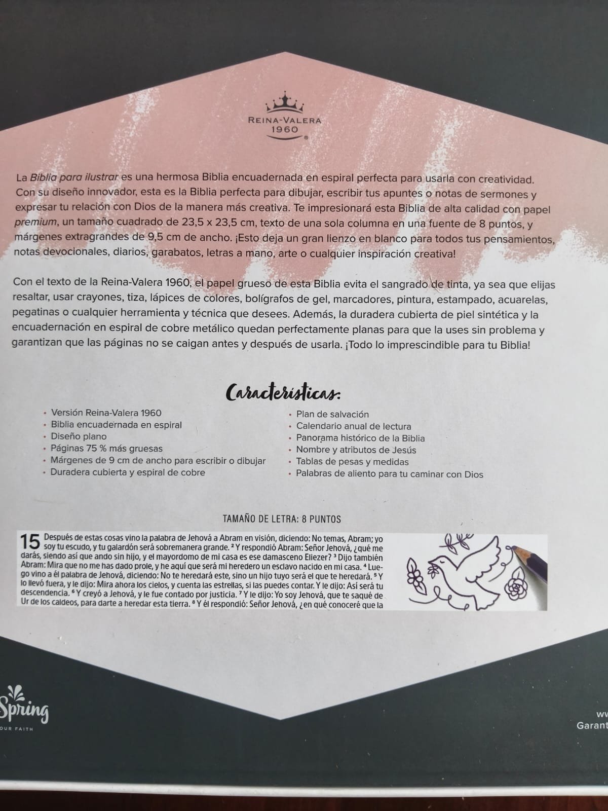 Biblia para Ilustrar - Imagen 5