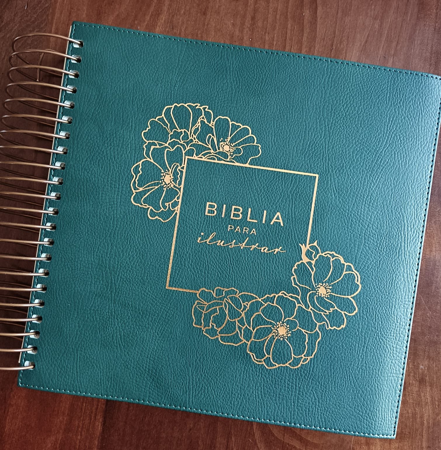 Biblia para Ilustrar - Imagen 2